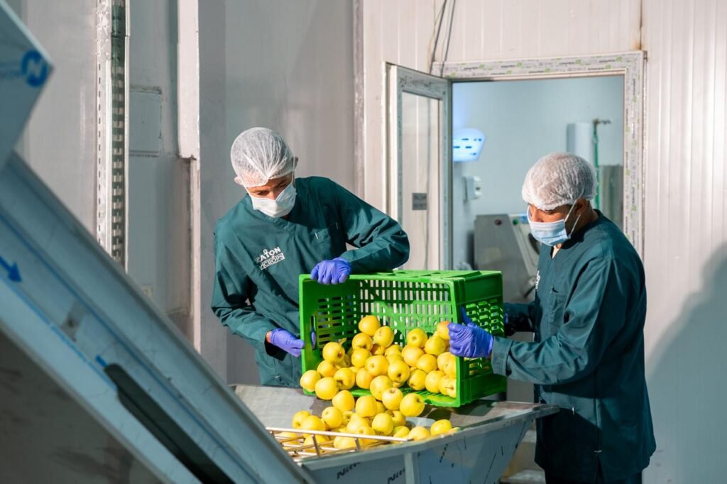 Aton Crops factory — 22